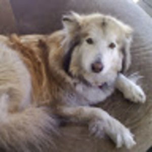 Meet your Posher, John-john